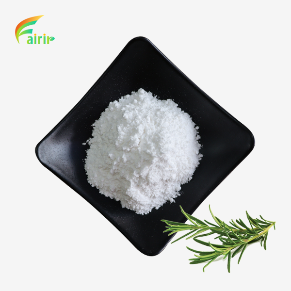 Natural Rosemary Extract Powder